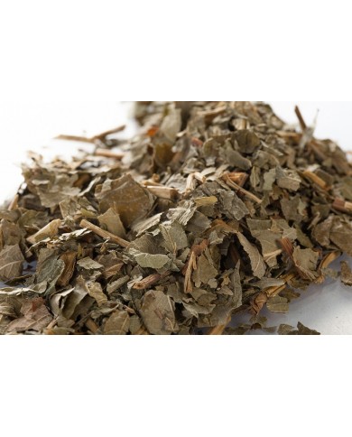 Fraisier - Feuilles en vrac