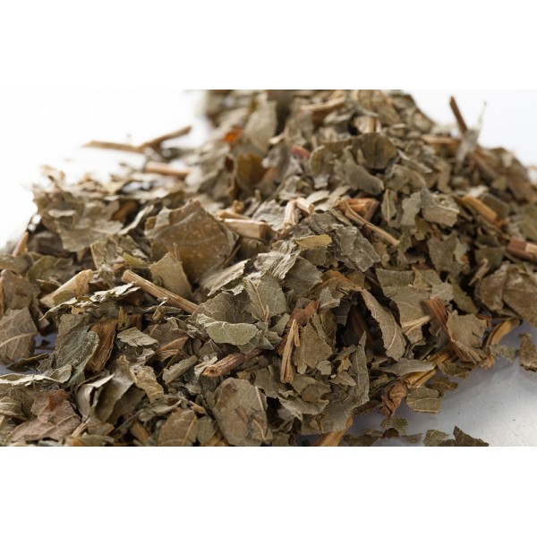 Fraisier - Feuilles en vrac