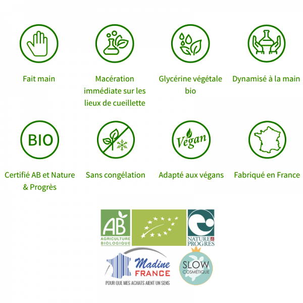Sorbier bourgeons en liquide Bio