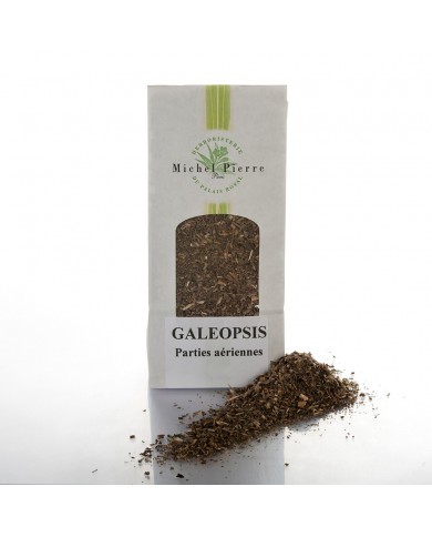 Galéopsis - Parties aériennes en vrac