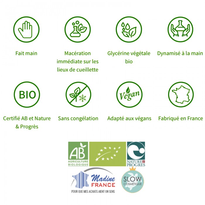 Eglantier bourgeons sans alcool en liquide bio par Herbiolys