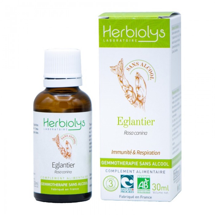 Eglantier bourgeons sans alcool en liquide bio par Herbiolys