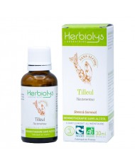 Tilleul bourgeons sans alcool en liquide bio