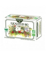 Romarin en infusettes Bio
