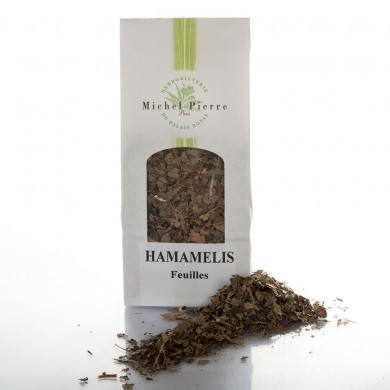 Hamamélis - Feuilles en vrac