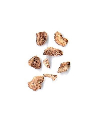 Harpagophytum en vrac