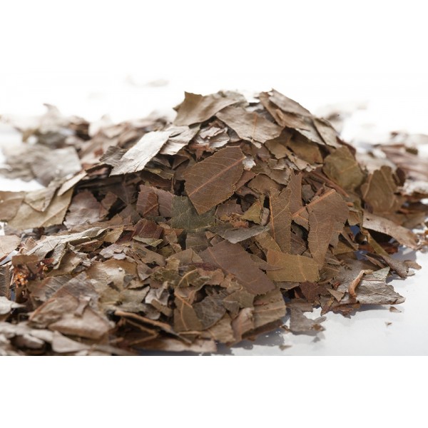 Combretum Kinkéliba - Feuilles en vrac