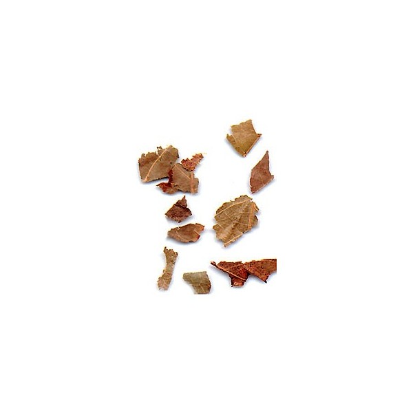 Combretum Kinkéliba - Feuilles en vrac
