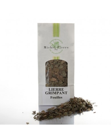 Lierre grimpant - Feuilles en vrac