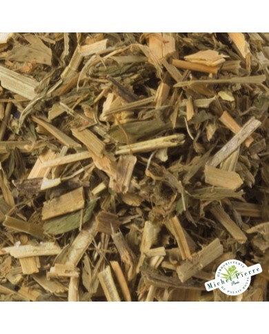 Alfalfa - feuilles en vrac detail