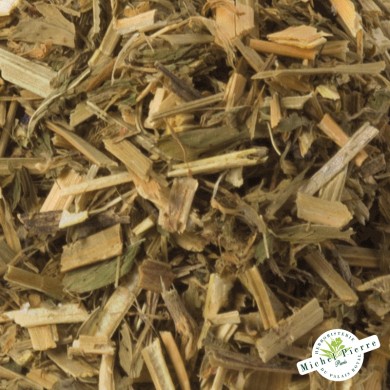 Alfalfa - feuilles en vrac detail