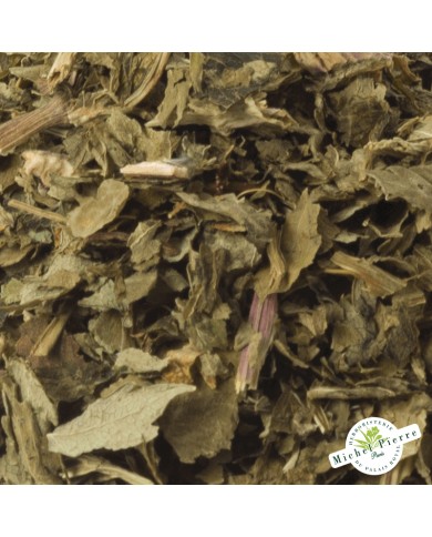 Angélique - Feuilles en vrac - detail