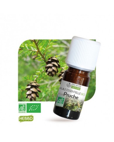 Pruche - Huile essentielle Bio