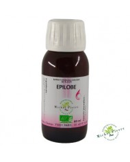 Marron d'Inde extrait hydroalcoolique Bio