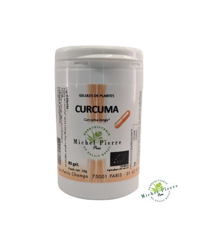 Curcuma en gélules Bio