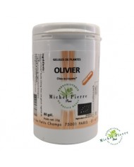 Onagre en capsules Bio