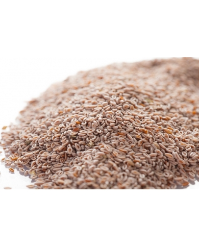 Ispaghul (Psyllium blond) - Graines en vrac