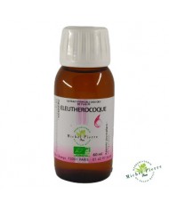 Eleuthérocoque extrait hydroalcoolique Bio herboristerie du palais royal