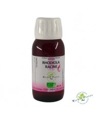 Eleuthérocoque extrait hydroalcoolique Bio