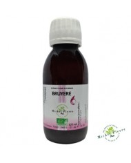 Bruyère concentré végétal bio herboristerie du Palais Royal Michel Pierre