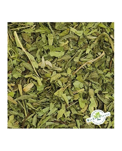 Stevia - Feuille en vrac herboristerie du Palais Royal Paris