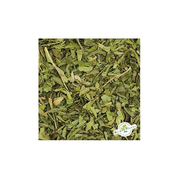 Stevia - Feuille en vrac herboristerie du Palais Royal Paris