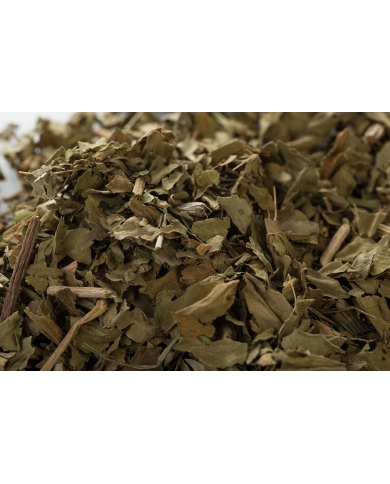 Menyanthe - Feuilles en vrac