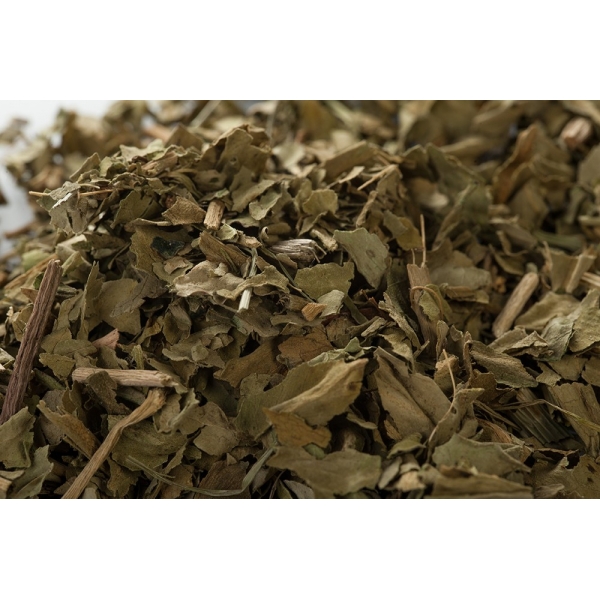 Menyanthe - Feuilles en vrac