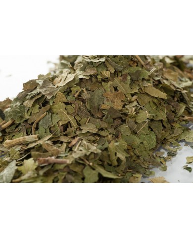 Mûrier feuille en vrac