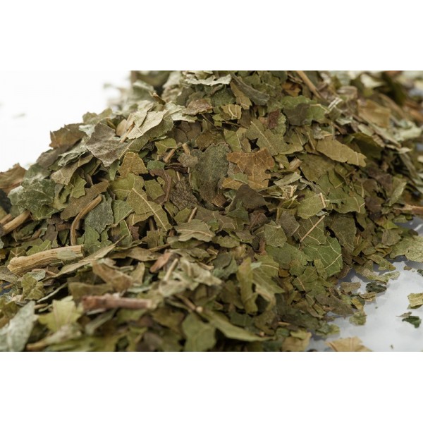 Mûrier feuille en vrac