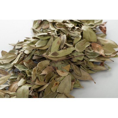 Myrte - Feuilles en vrac