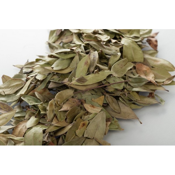 Myrte - Feuilles en vrac