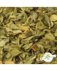 Buchu - Feuilles en vrac Herboristerie du Palais Royal Paris Michel Pierre