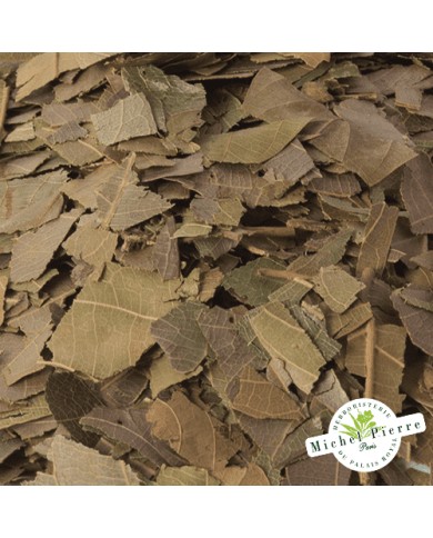 Combretum Kinkéliba - Feuilles en vrac HERBORISTERIE DU PALAIS ROYAL PARIS MICHEL PIERRE