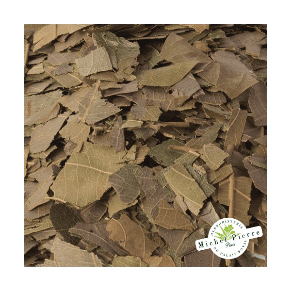 Combretum Kinkéliba - Feuilles en vrac HERBORISTERIE DU PALAIS ROYAL PARIS MICHEL PIERRE