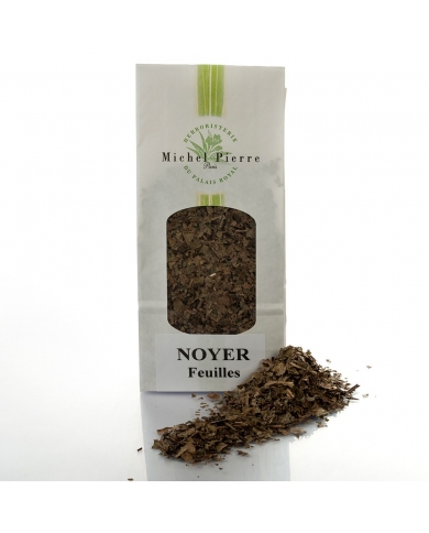 Noyer - Feuilles en vrac