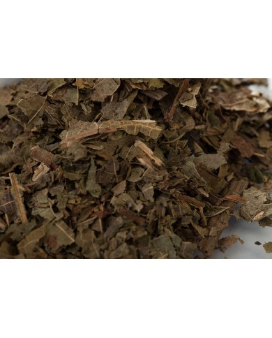Noyer - Feuilles en vrac