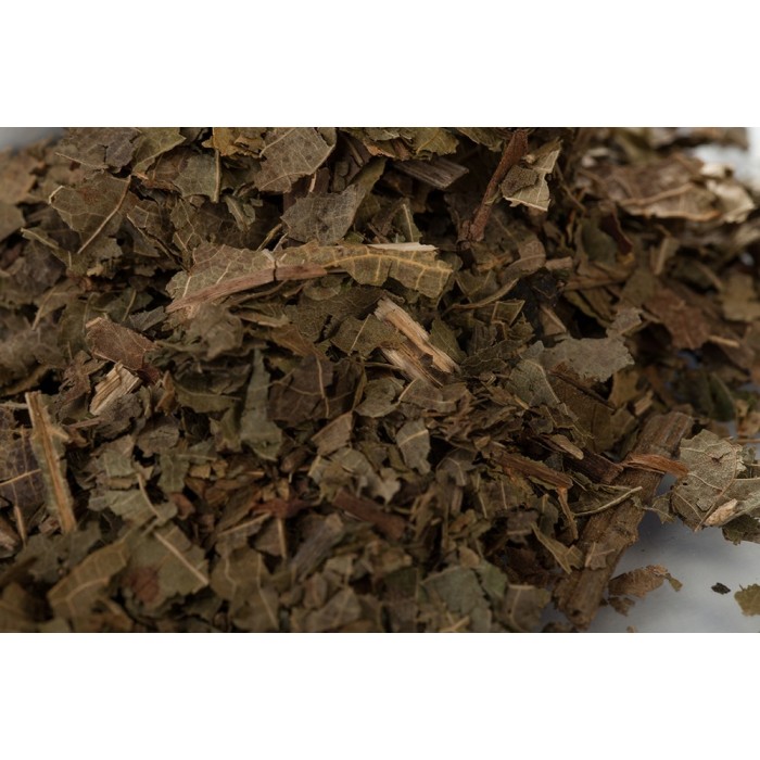 Noyer - Feuilles en vrac