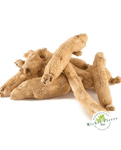 Ginseng blanc - Racines entières HERBORISTERIE DU PALAIS ROYAL MICHEL PIERRE PARIS