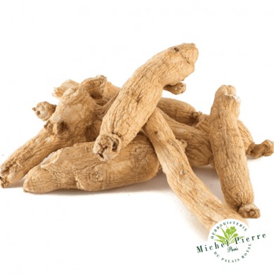 Ginseng blanc - Racines entières HERBORISTERIE DU PALAIS ROYAL MICHEL PIERRE PARIS