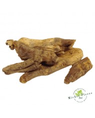 Ginseng rouge - Racines entières HERBORISTERIE DU PALAIS ROYAL MICHEL PIERRE PARIS
