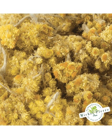Immortelle fleur en vrac HERBORISTERIE DU PALAIS ROYAL MICHEL PIERRE PARIS