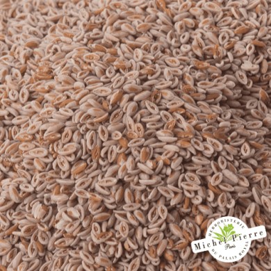 Ispaghul (Psyllium blond) - Graines en vrac HERBORISTERIE DU PALAIS ROYAL MICHEL PIERRE PARIS