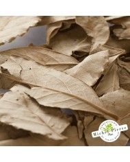 Laurier noble - Feuilles en vrac - HERBORISTERIE DU PALAIS ROYAL PARIS MICHEL PIERRE