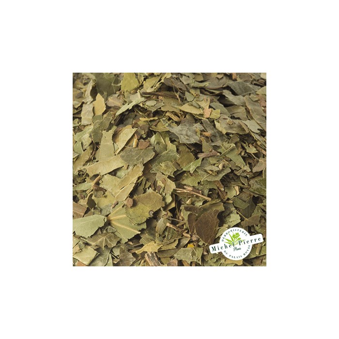 Lierre grimpant - Feuilles en vrac- HERBORISTERIE DU PALAIS ROYAL PARIS MICHEL PIERRE