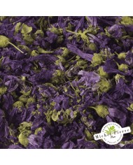 Mauve - Fleurs en vrac - HEBORISTERIE DU PALAIS ROYAL PARIS MICHEL PIERRE