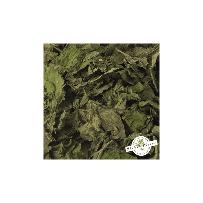 Menthe poivrée en vrac - HEBORISTERIE DU PALAIS ROYAL PARIS MICHEL PIERRE