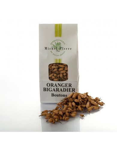 Oranger bigaradier - Boutons en vrac