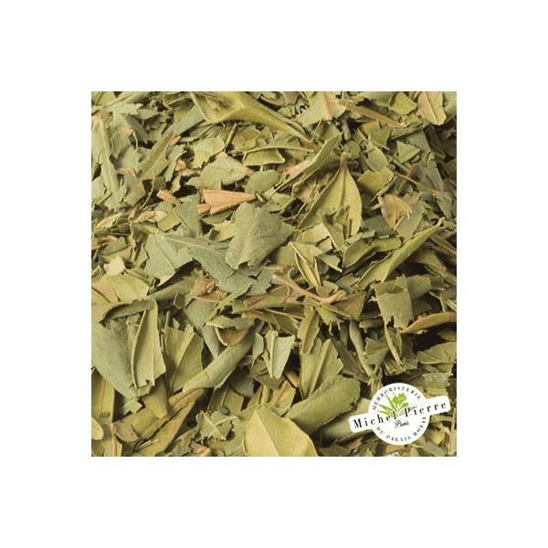 Myrte - Feuilles en vrac - HERBORISTERIE DU PALAIS ROYAL PARIS MICHEL PIERRE