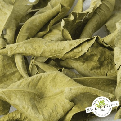 Oranger bigaradier - Feuilles en vrac - HERBORISTERIE DU PALAIS ROYAL PARIS MICHEL PIERRE